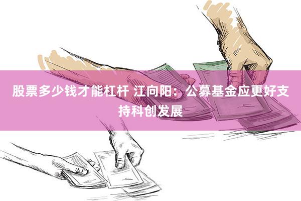 股票多少钱才能杠杆 江向阳：公募基金应更好支持科创发展