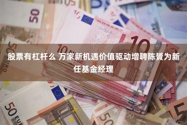 股票有杠杆么 万家新机遇价值驱动增聘陈贇为新任基金经理