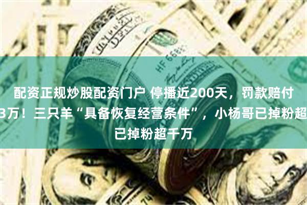 配资正规炒股配资门户 停播近200天，罚款赔付9673万！三只羊“具备恢复经营条件”，小杨哥已掉粉超千万