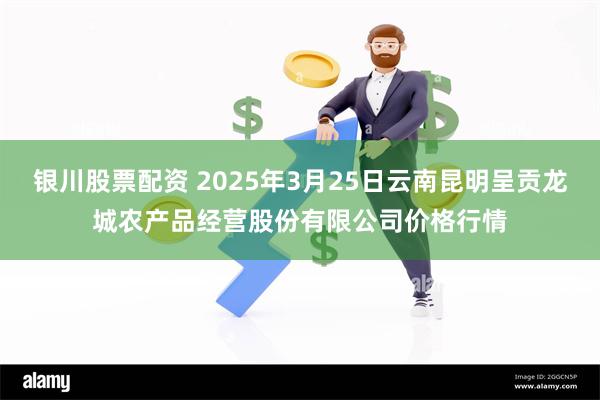 银川股票配资 2025年3月25日云南昆明呈贡龙城农产品经营股份有限公司价格行情