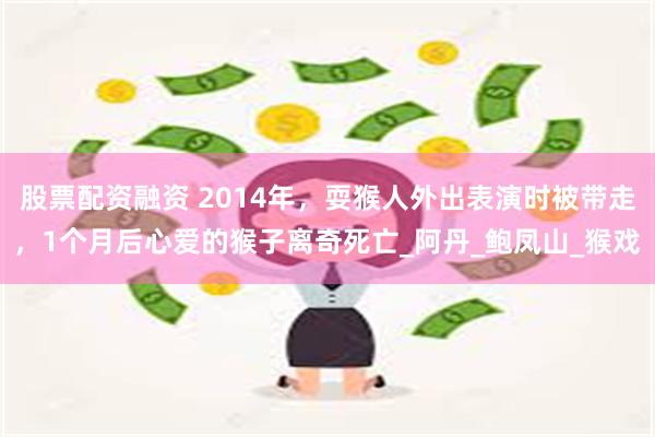 股票配资融资 2014年，耍猴人外出表演时被带走，1个月后心爱的猴子离奇死亡_阿丹_鲍凤山_猴戏