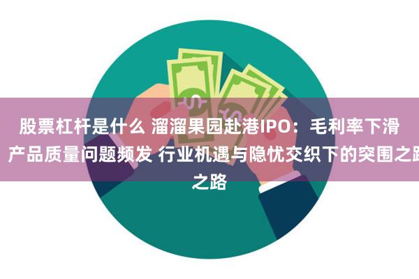 股票杠杆是什么 溜溜果园赴港IPO：毛利率下滑、产品质量问题频发 行业机遇与隐忧交织下的突围之路