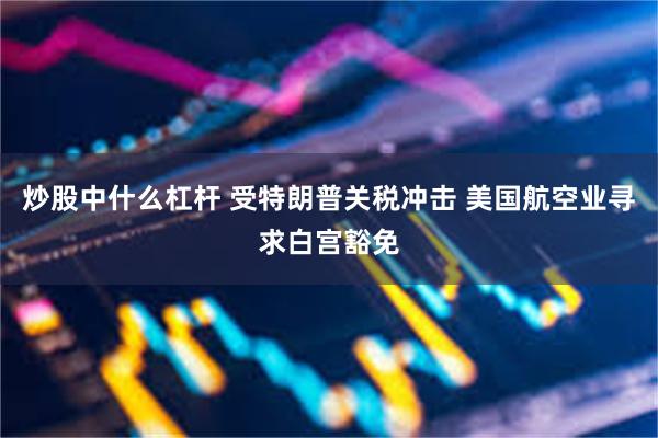 炒股中什么杠杆 受特朗普关税冲击 美国航空业寻求白宫豁免