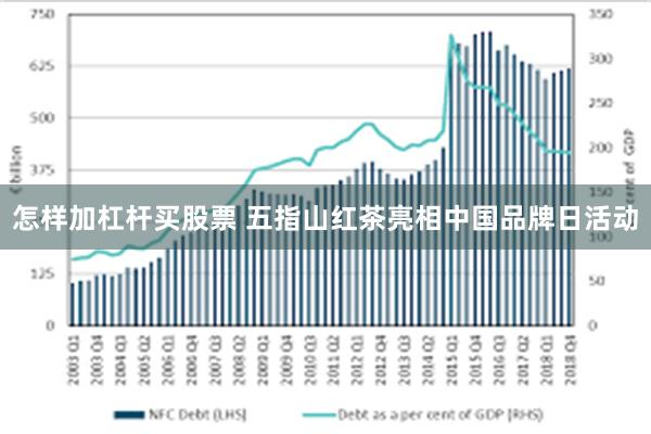 怎样加杠杆买股票 五指山红茶亮相中国品牌日活动